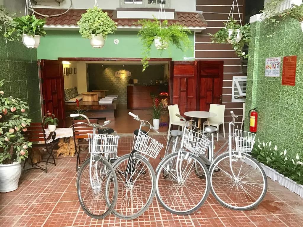4 Seasons Hostel - photo 17