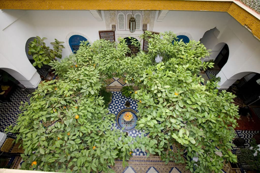 Riad El Borj - photo 15