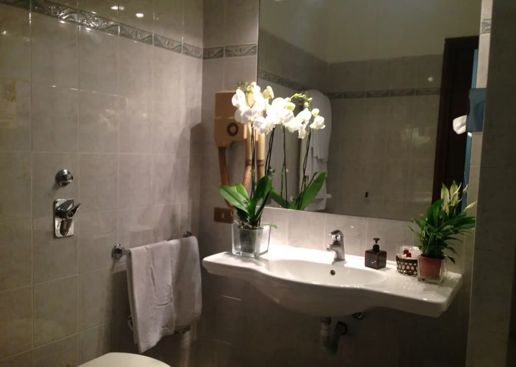 Hotel Mennini - photo 8