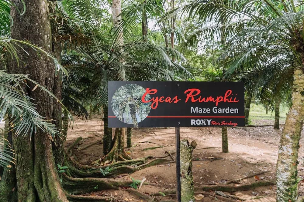 Roxy Telok Serabang - photo 15