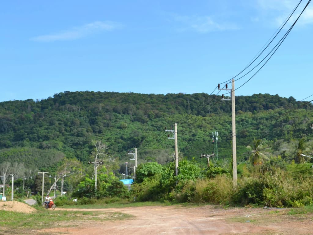 Pitt Bungalow - photo 3