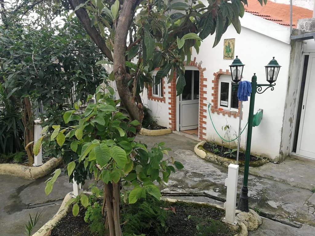 Mana Guest House - photo 11