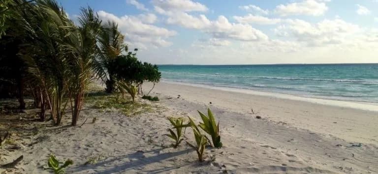 Amra Palace Laamu - photo 18
