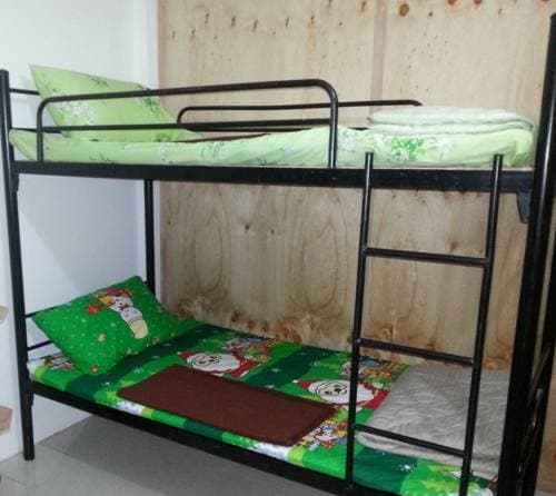 Budget Traveller Inn - photo 3