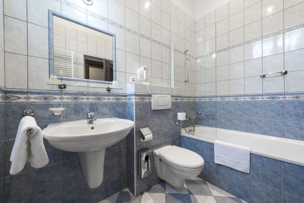 Hotel Cerny Slon - photo 10
