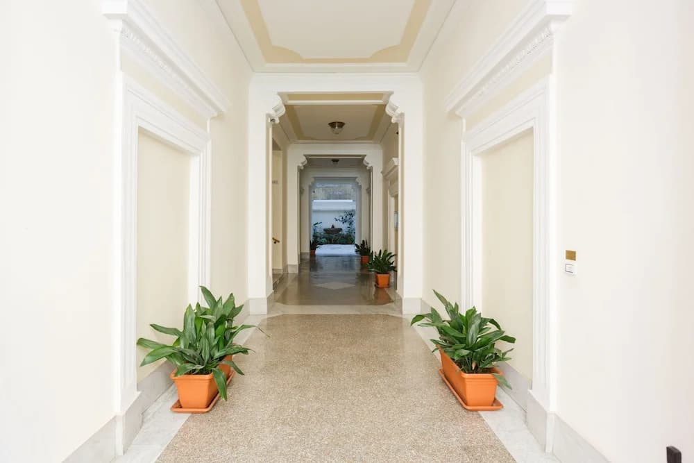 VVmonti - photo 10