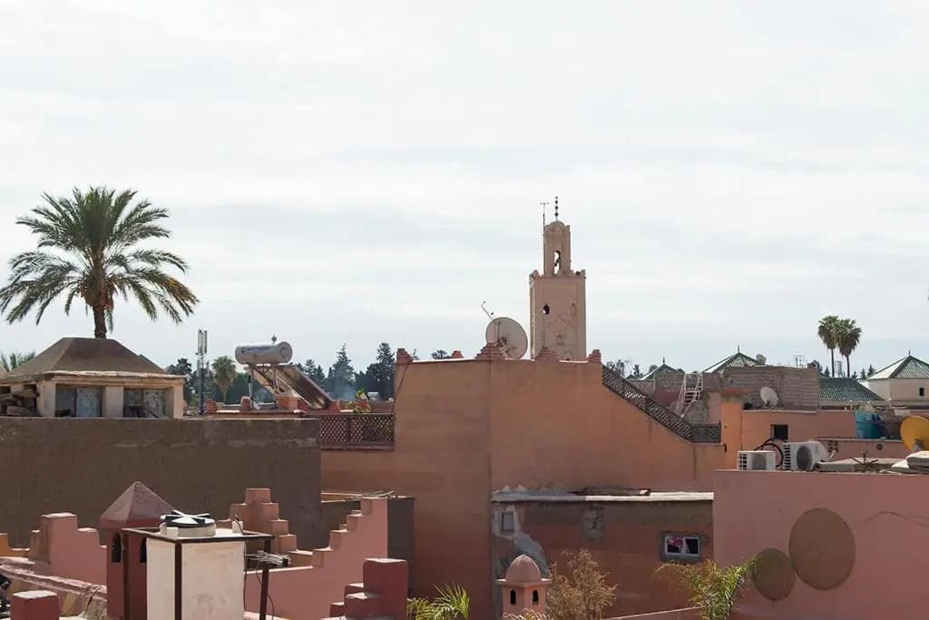Riad Wardate Rita - photo 15