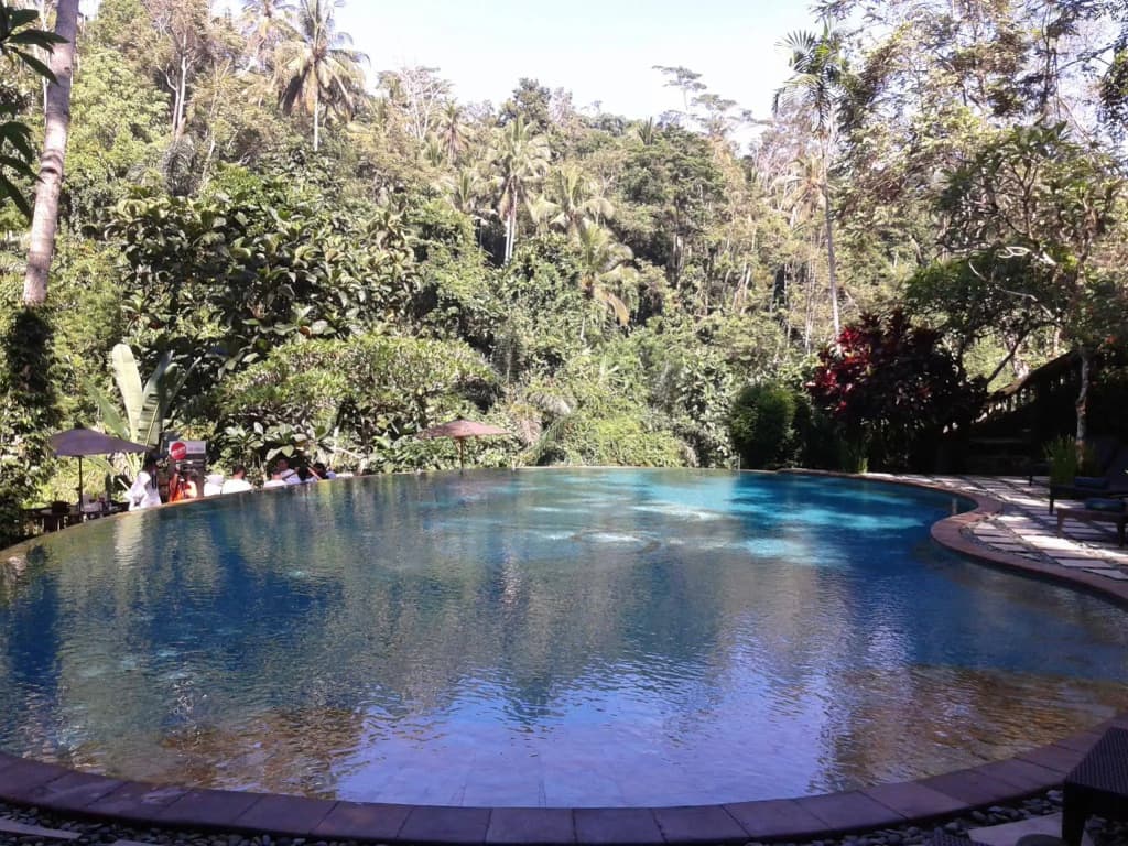 Anahata Villas & Spa Resort - photo 11