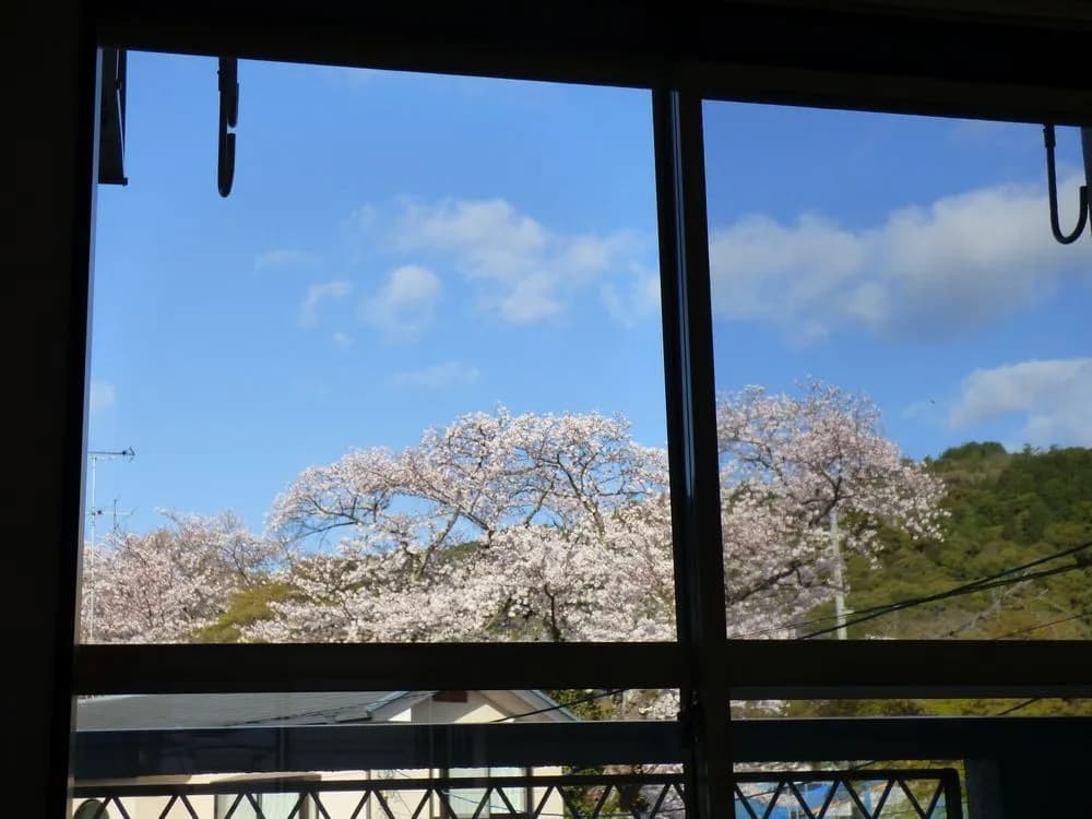 SAIZEN Matsumuro stay - photo 8