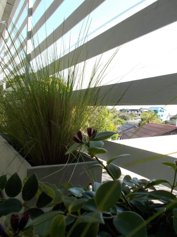 Wualai Residence - photo 43