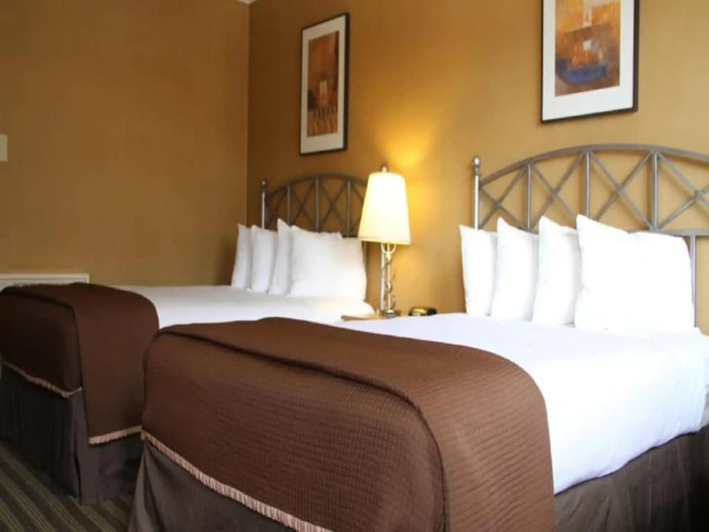 Civic Center Motor Inn - photo 4