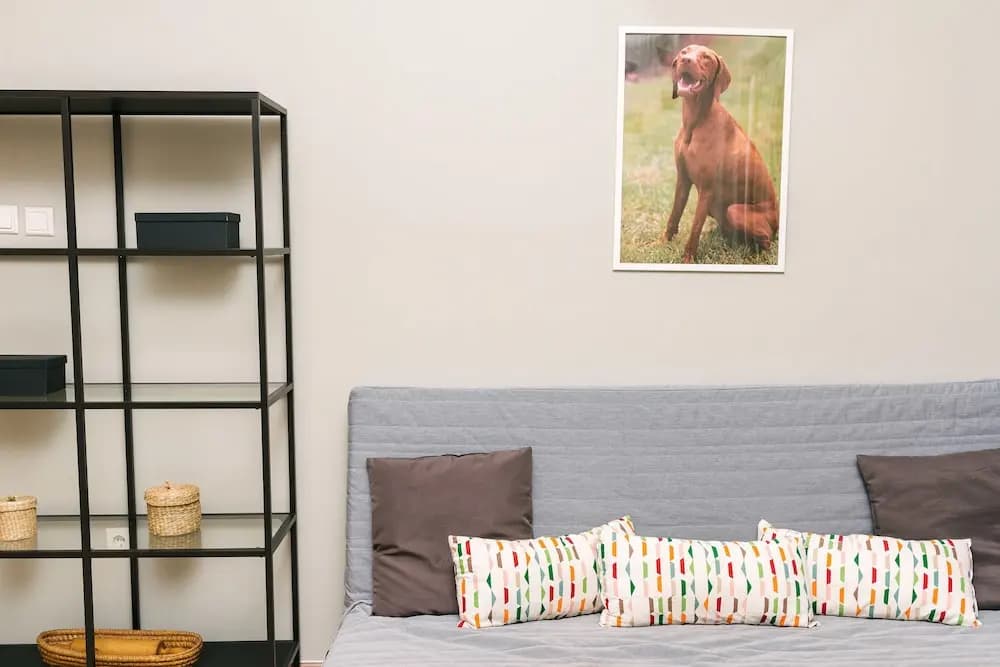 Dfive Apartments - Vizsla - photo 6