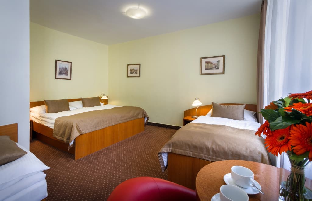 Hotel Seifert - photo 33