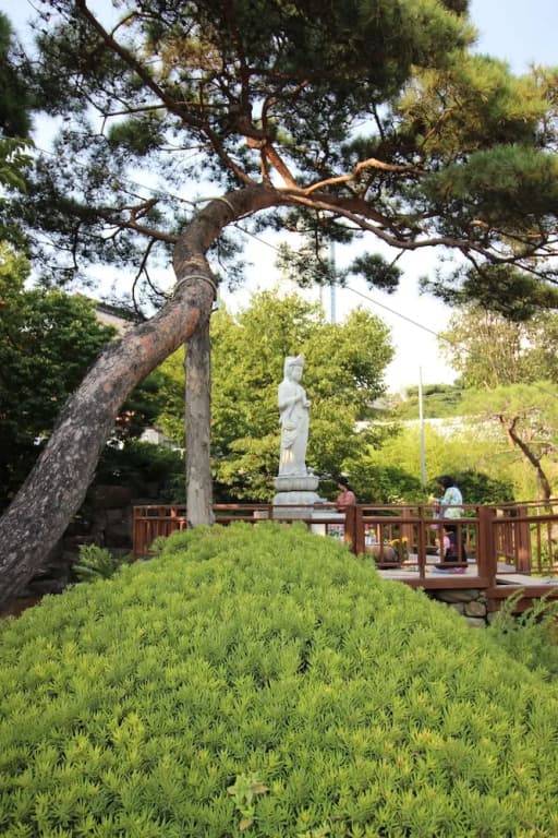 Weve House - photo 4