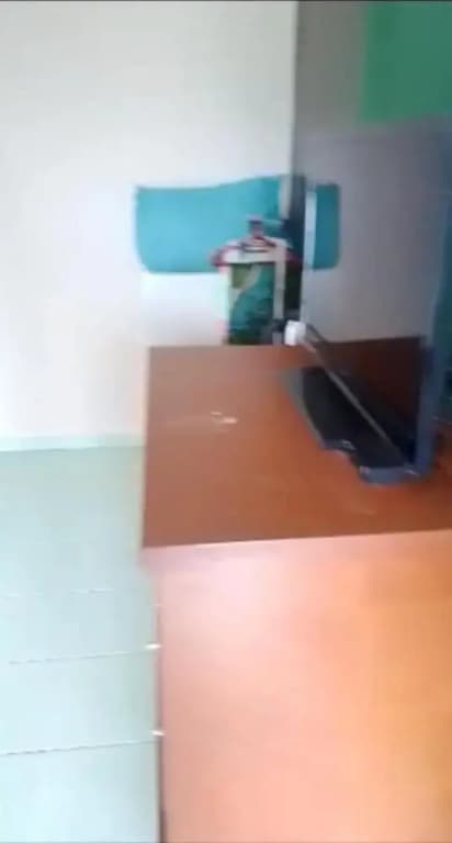 Mahasa Penarik Homestay - photo 8