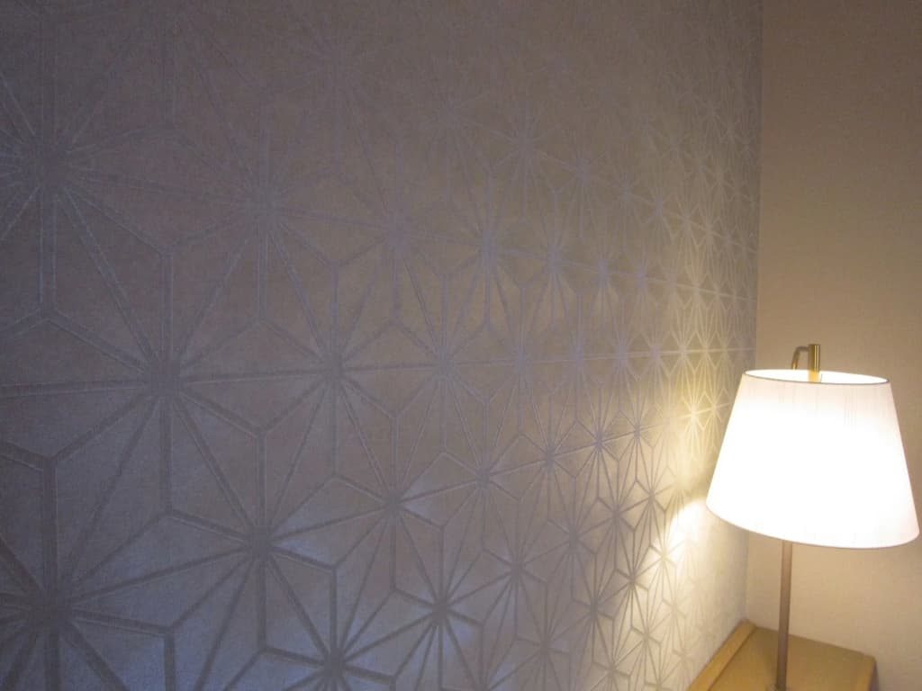 Ranzan Hotel - photo 4