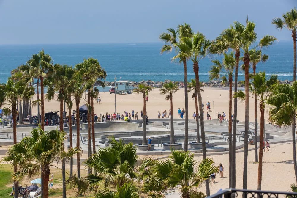 Venice Beach Suites Hotel - photo 13