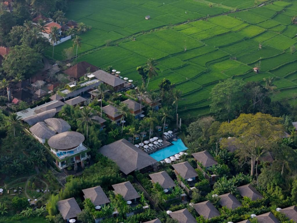 Kappa Senses Ubud Hotel - photo 25
