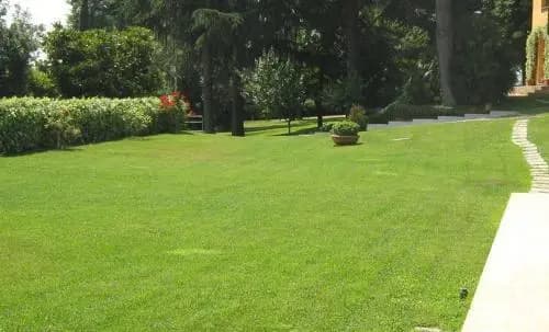 Tiberina 381 - photo 8