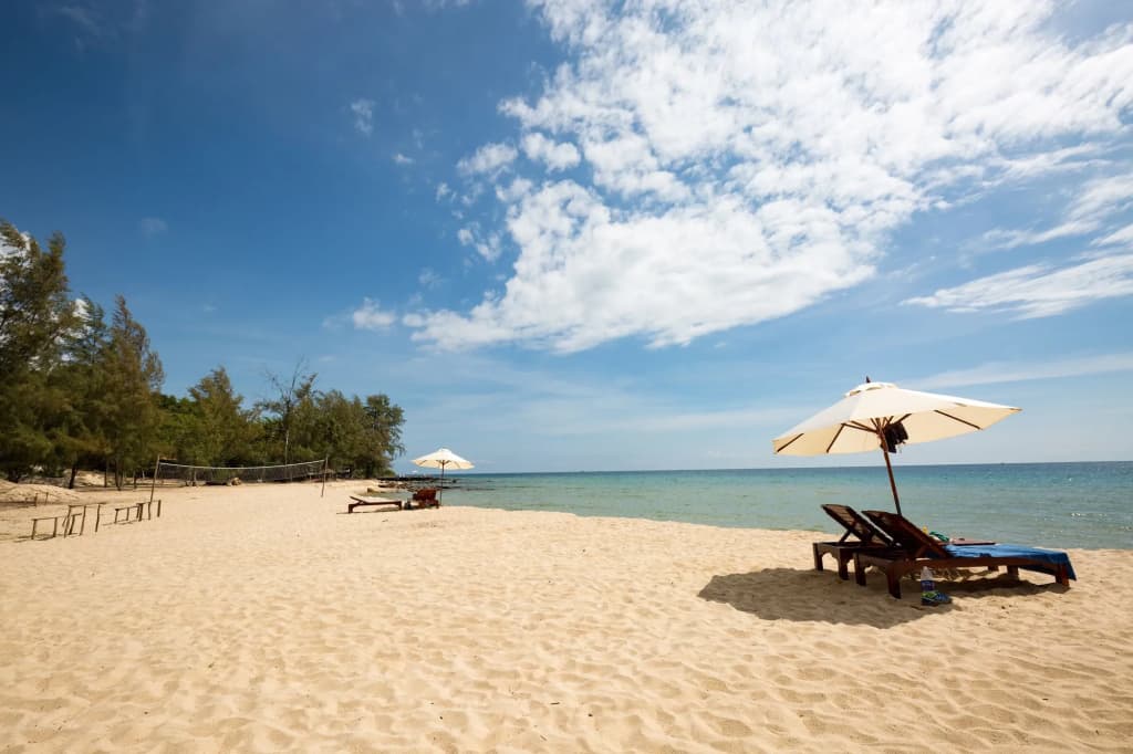 Camellia Resort & Spa - photo 16