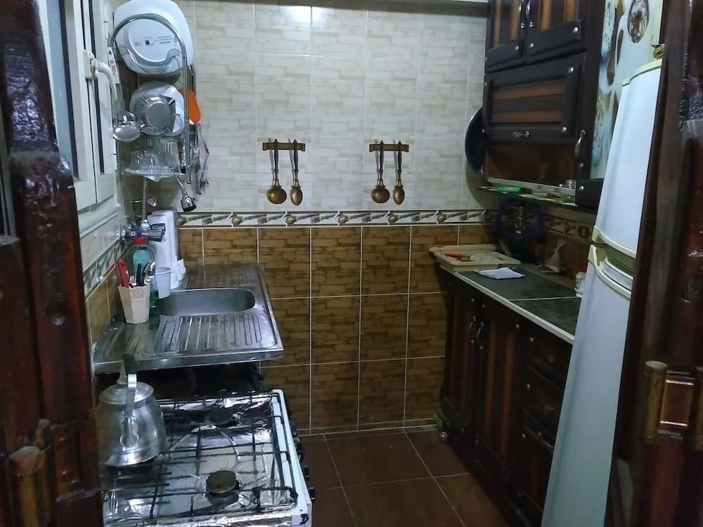 Explore Cairo From A Cozy Designed apt - photo 15