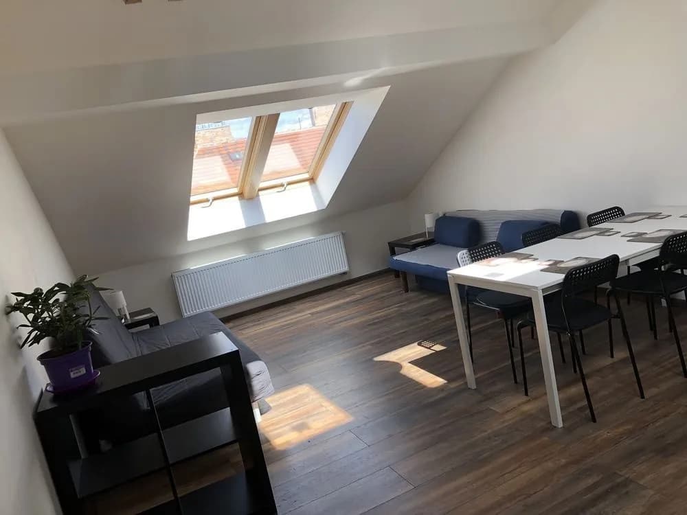 Blahnikova Apartments - photo 13