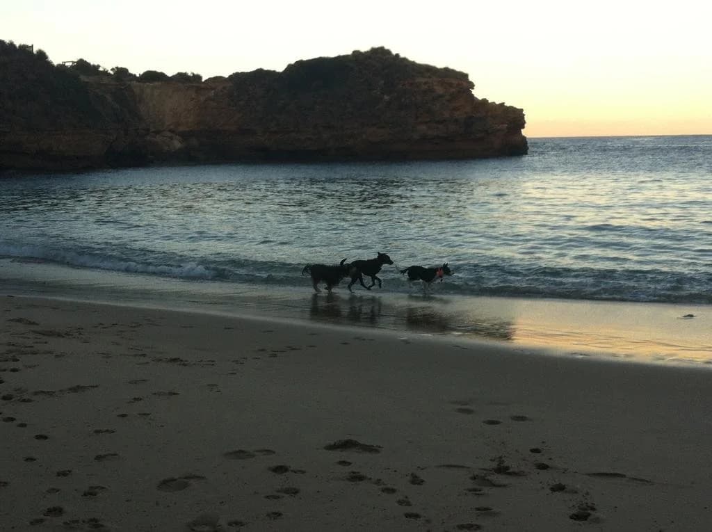 Bayplay Cottage And Portsea Apartments - photo 4