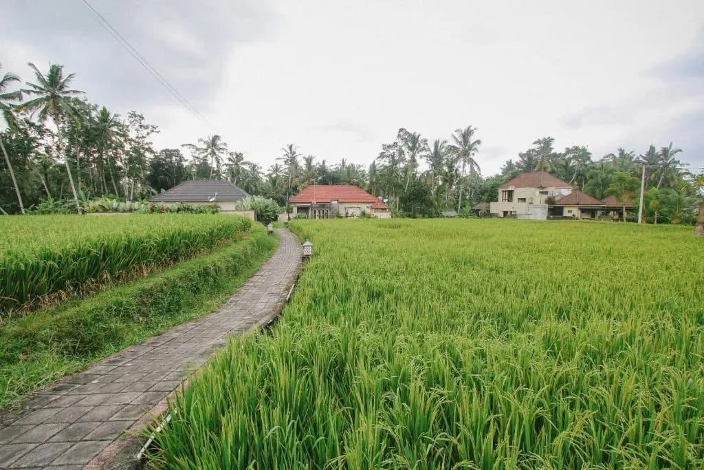 Casa Priya Ubud - photo 17