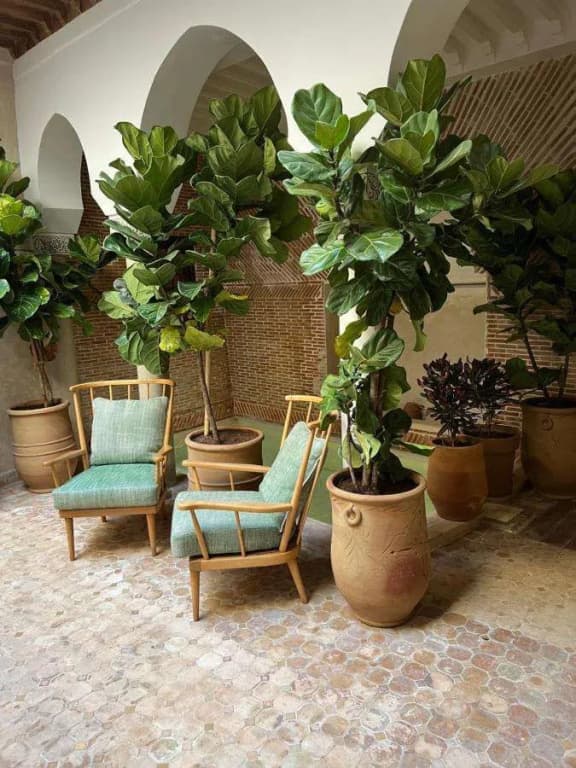 Riad Alena Marrakech - photo 17