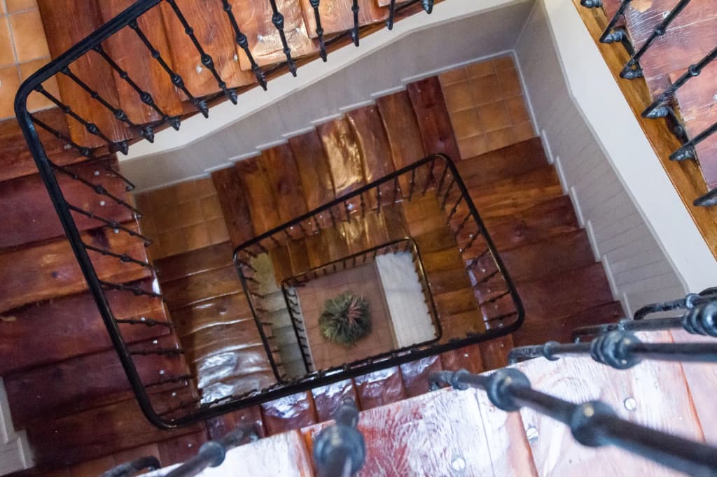 Olmedo - photo 14