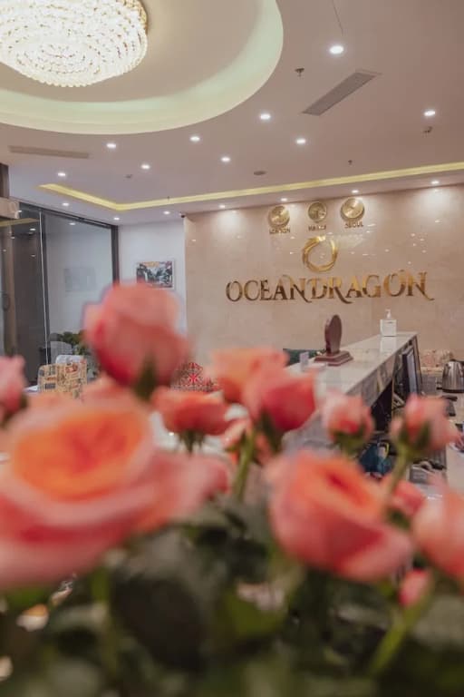 Ocean Dragon Hotel Halong - photo 8