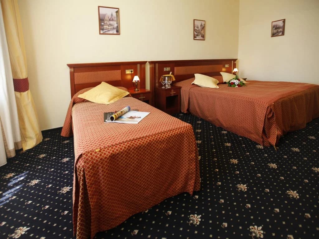 Hotel Aramis - photo 14