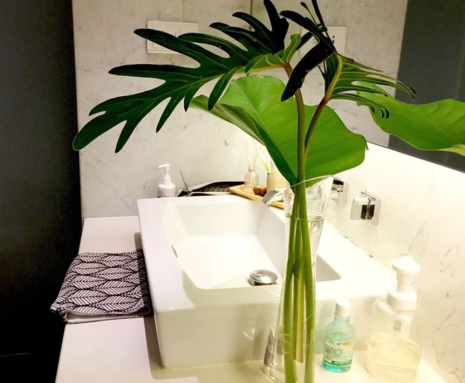 Perfect Harmony Condotel - photo 6