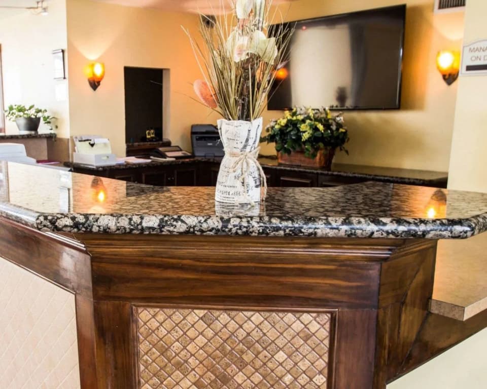 Stayable Orlando - photo 2