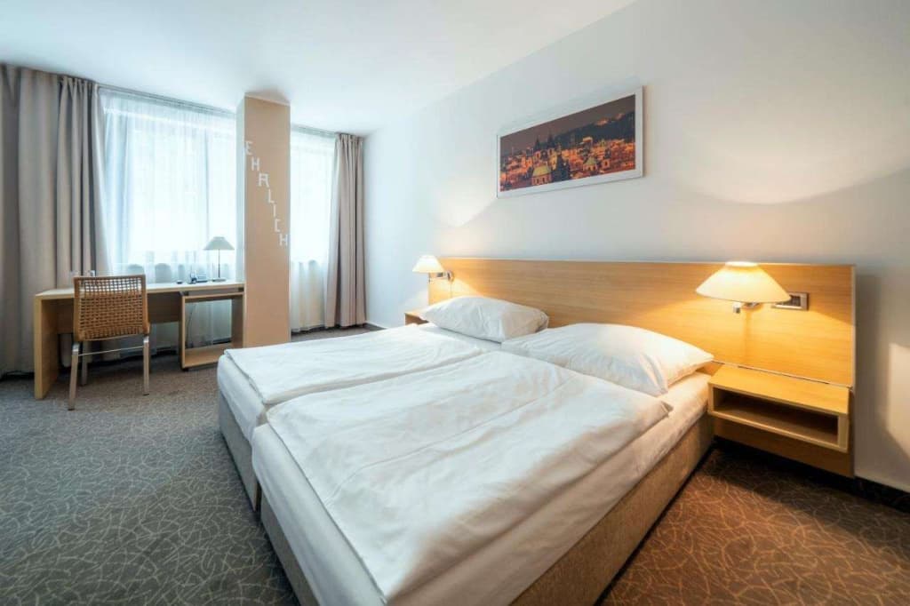 Hotel Ehrlich Prague - photo 30