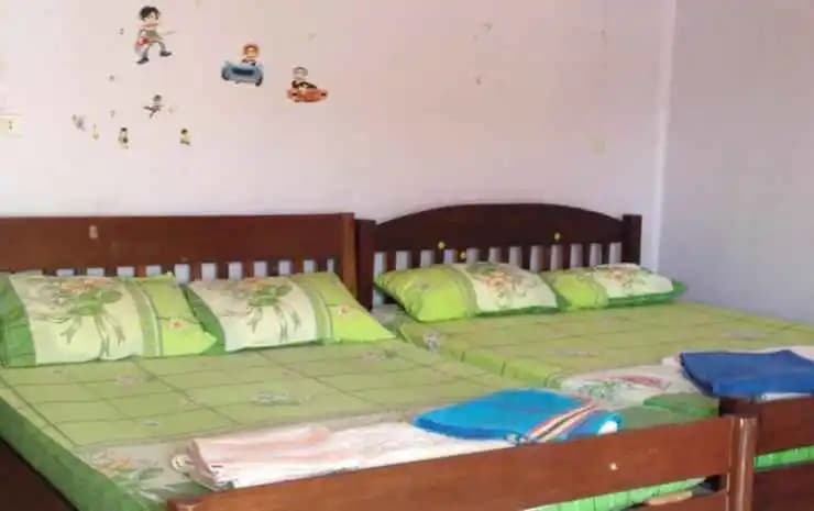 Friendly Guest House - photo 3