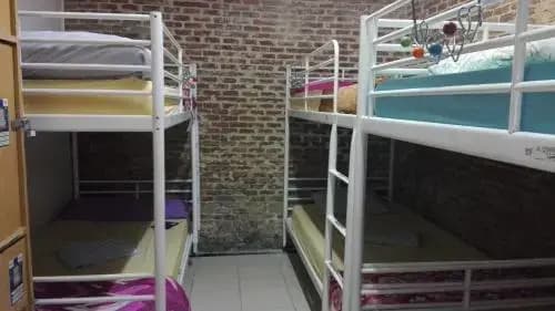Grupo Rh - Hostel - photo 15