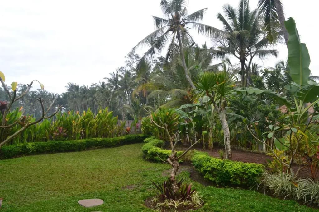 Srijaya Ubud - photo 9