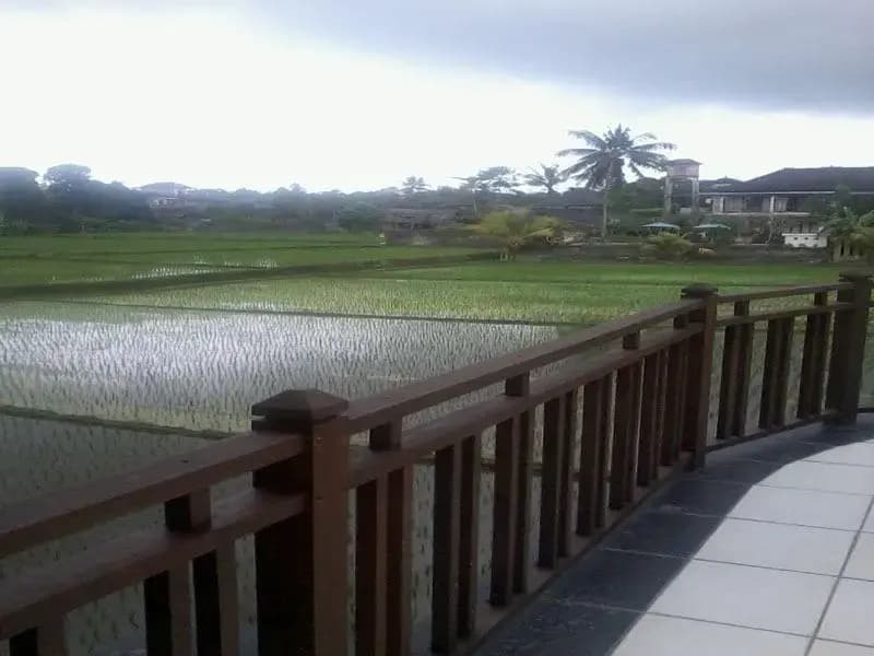 Wismaya Villa - photo 11