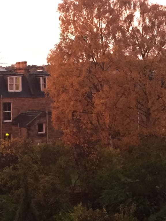 Ashdene House - photo 11
