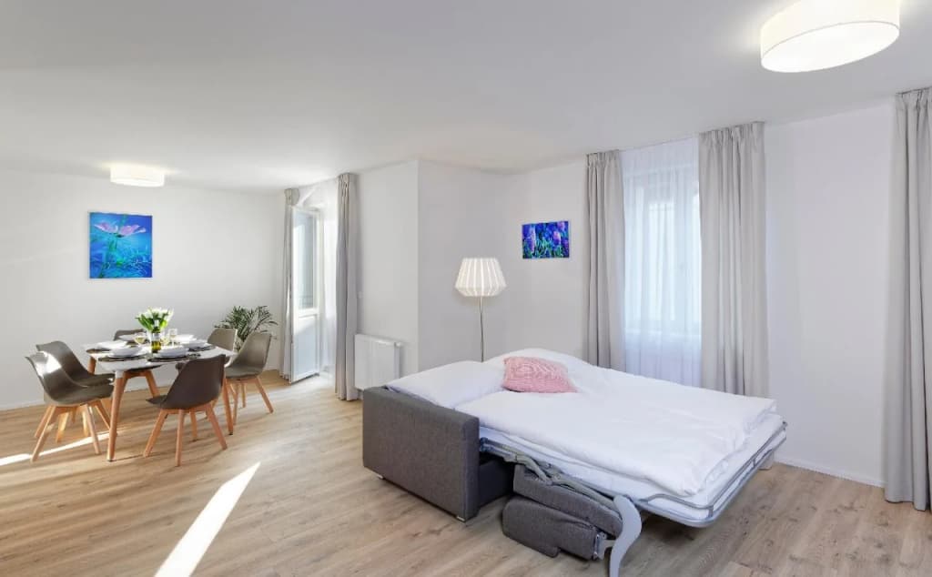DownTown Suites Jugoslavska - photo 4