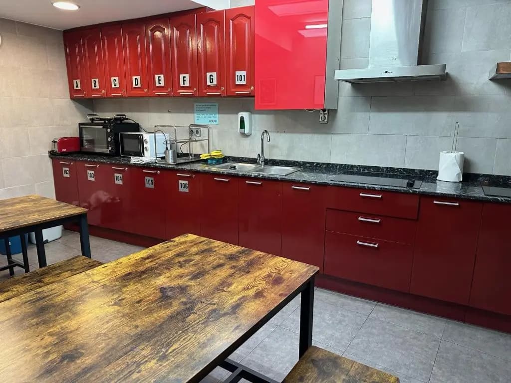 Hostal Alogar - photo 14