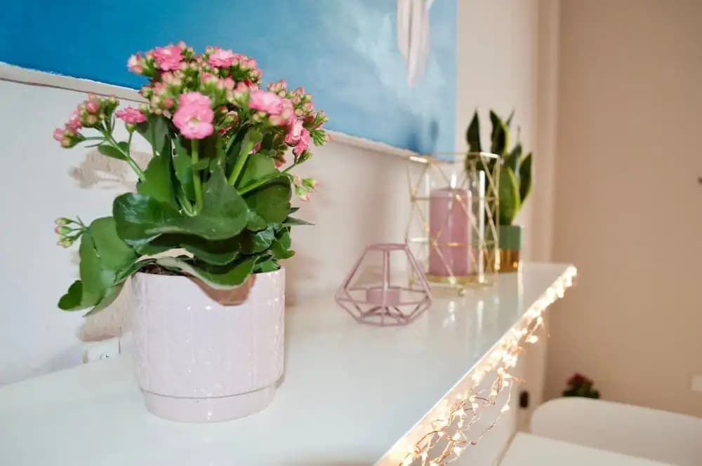 Bright And Spacious 1 Bedroom Flat - photo 8