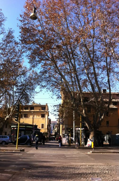 Residenza delle Arti - photo 13