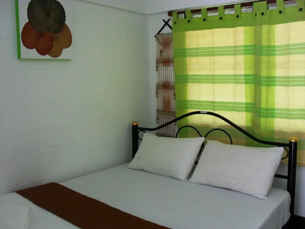 Naruncha Green House - photo 3