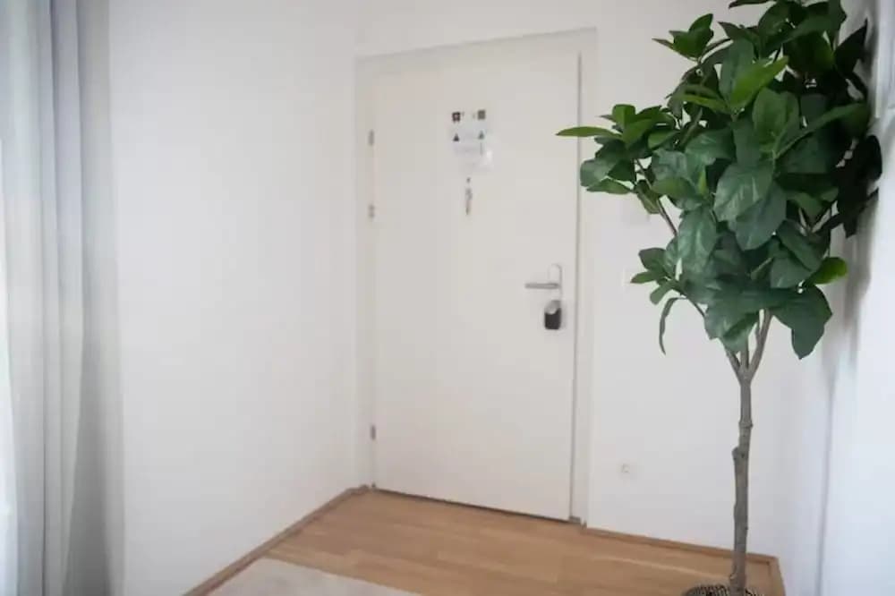 Danube Apartments - photo 11