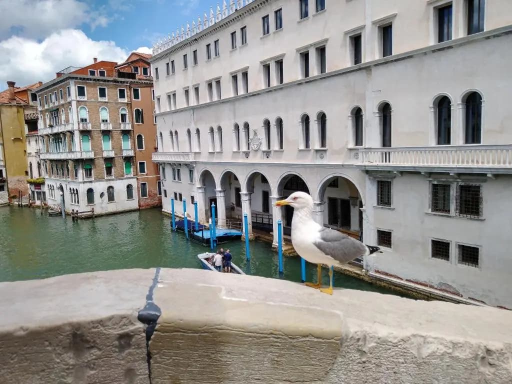 Love Island Venice - photo 4