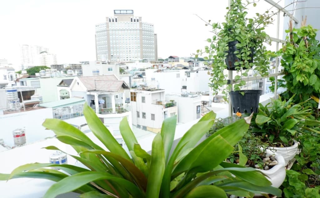 WillHome Hostel - photo 25