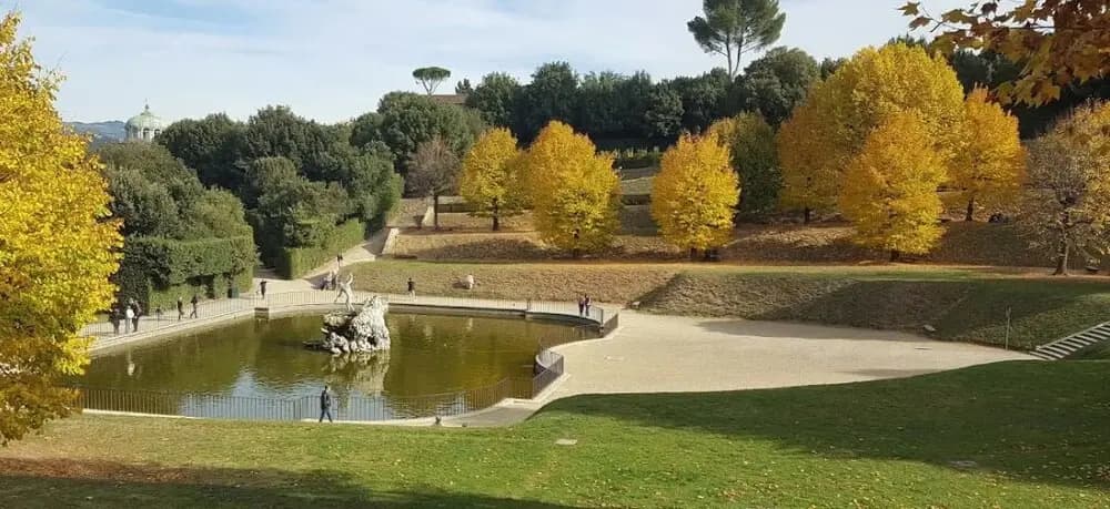 Romana 100 - photo 12