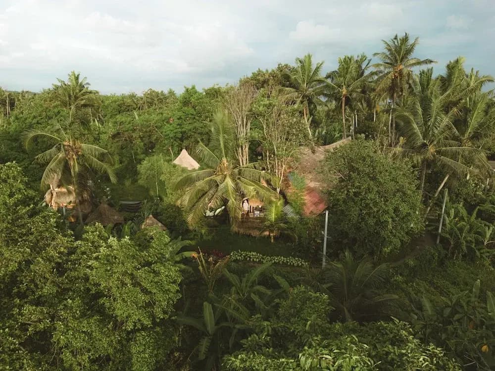 Firefly Eco Lodge - photo 21